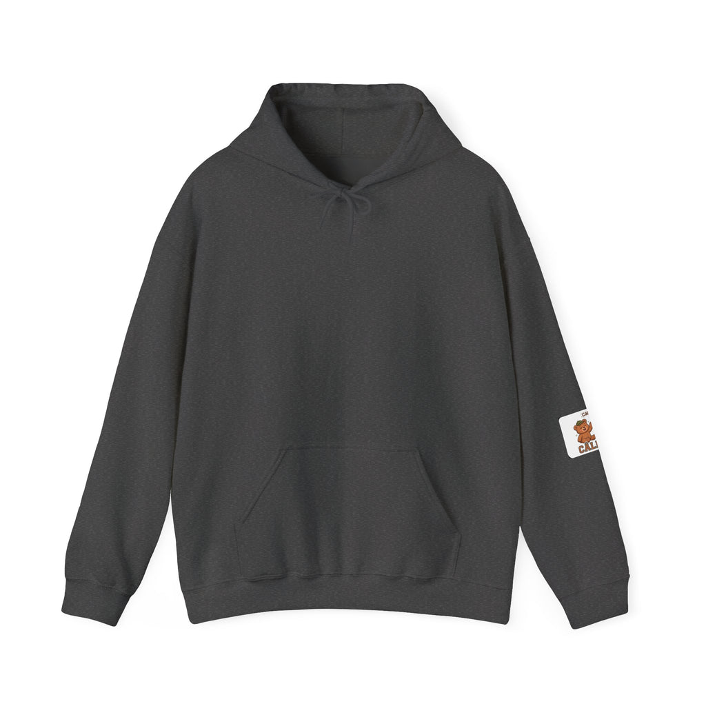 Gildan Cuddles Hoodie – Care Bears
