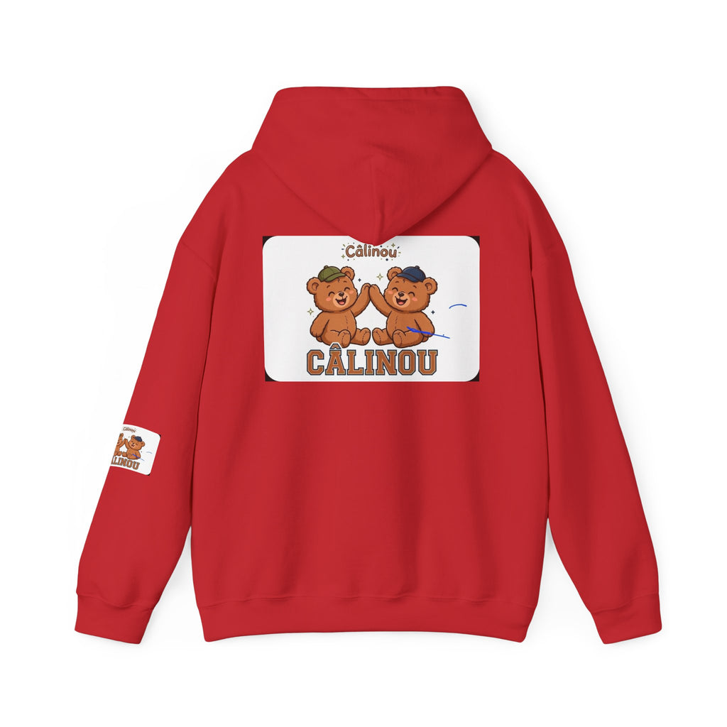 Gildan Cuddles Hoodie – Care Bears
