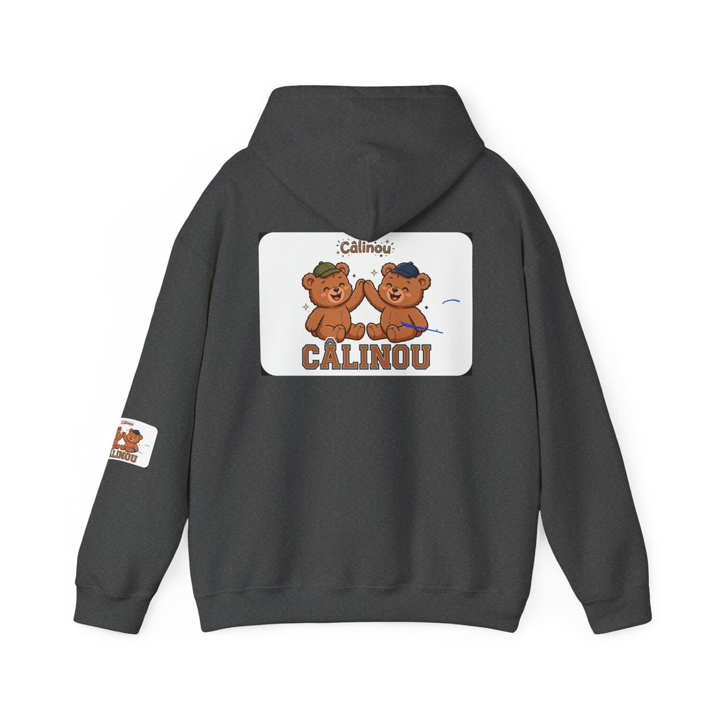 Gildan Cuddles Hoodie – Care Bears