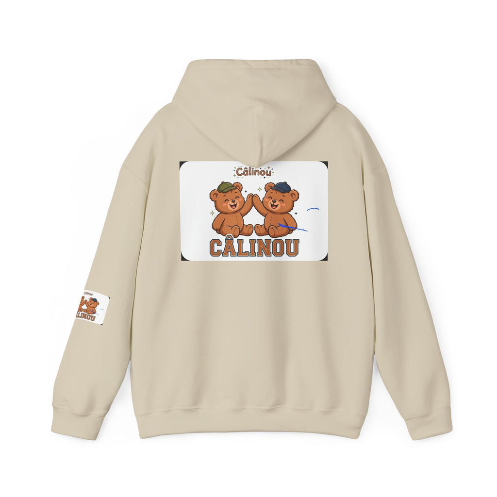 Gildan Cuddles Hoodie – Care Bears