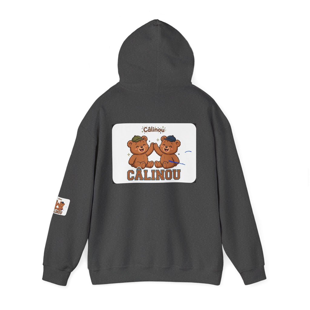 Gildan Cuddles Hoodie – Care Bears