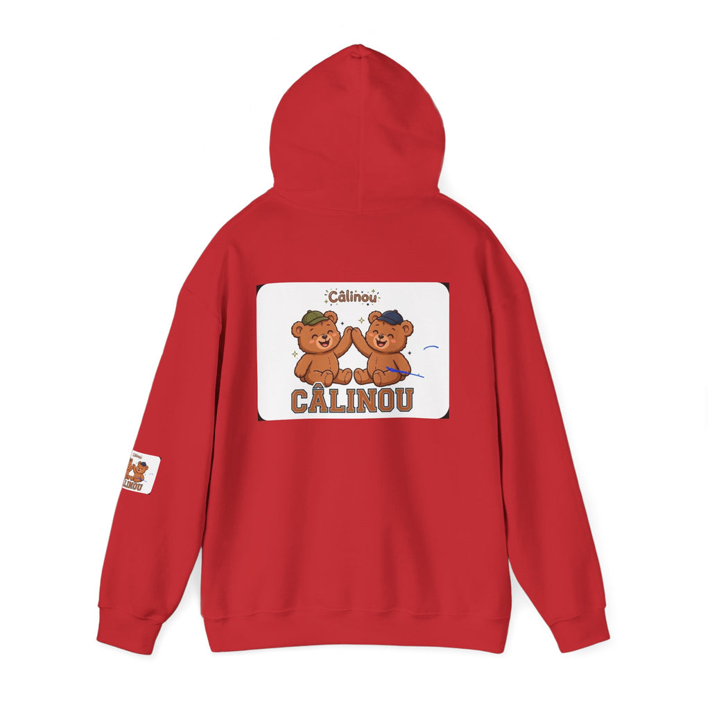 Gildan Cuddles Hoodie – Care Bears